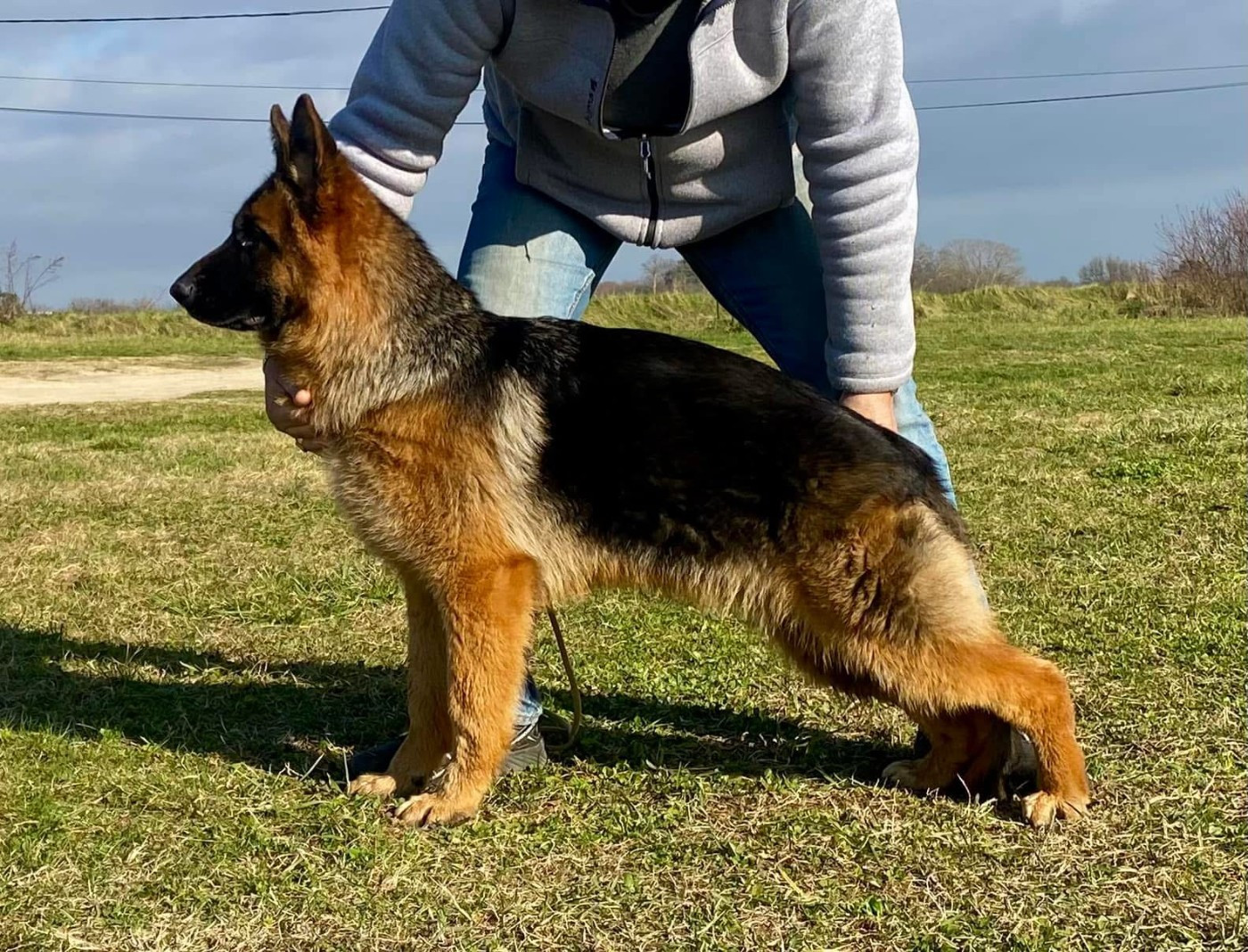 Vyse des Princes de Sarvar