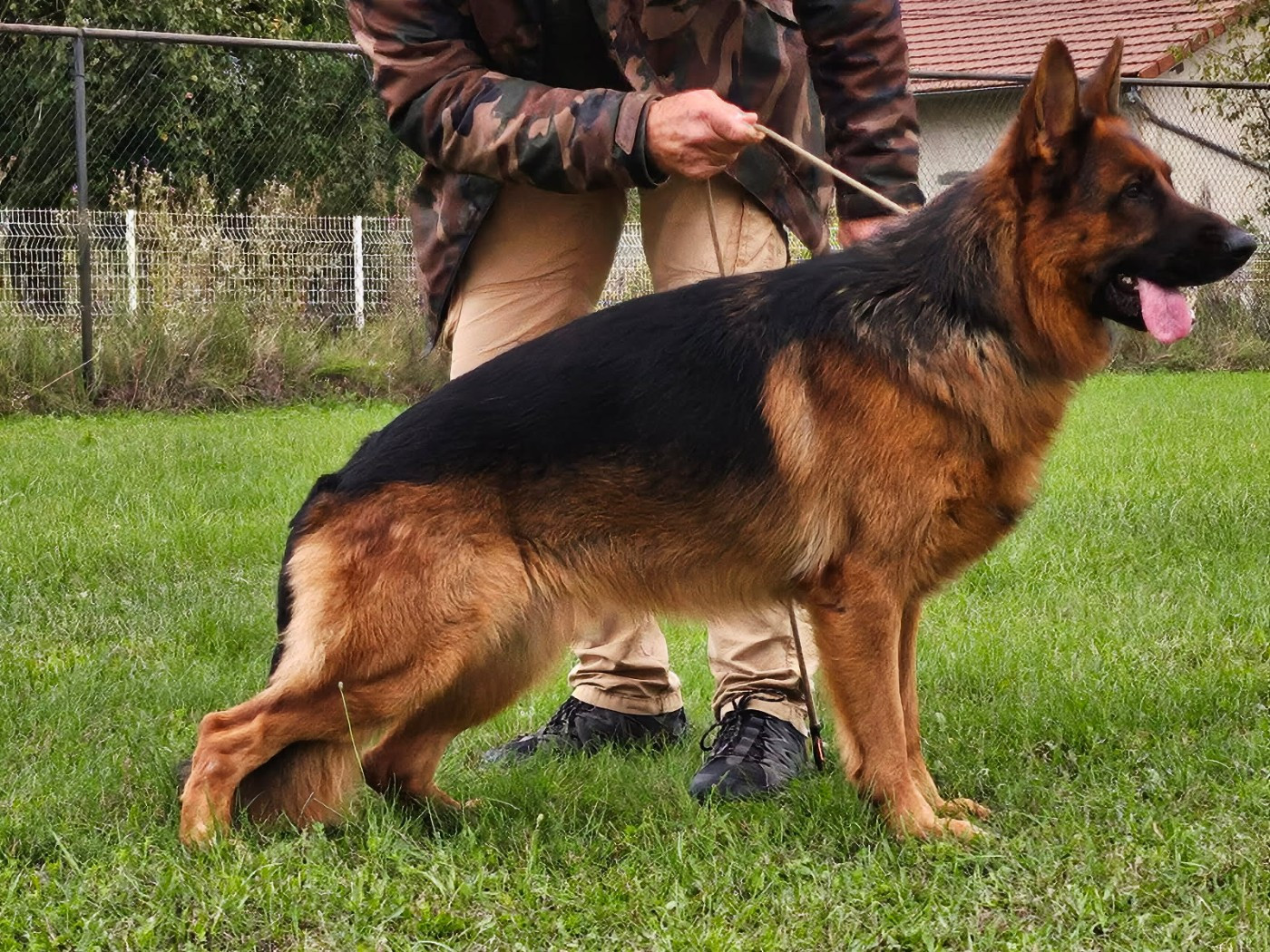 Thanos des Princes de Sarvar