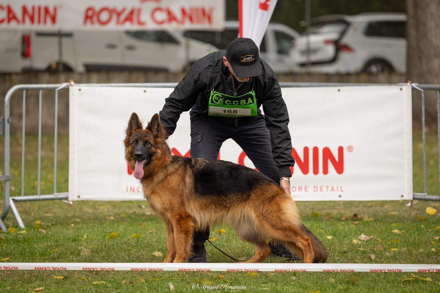 Valia des Princes de Sarvar