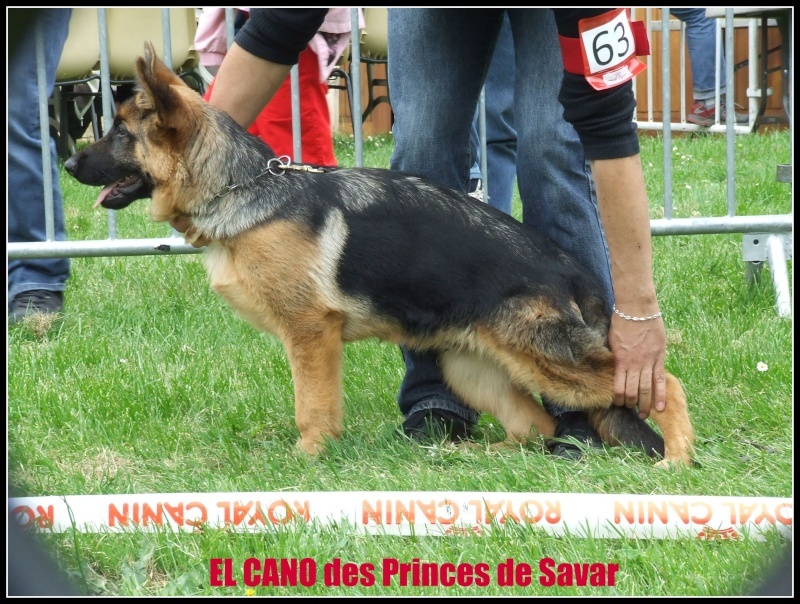 Elacano des Princes de Sarvar